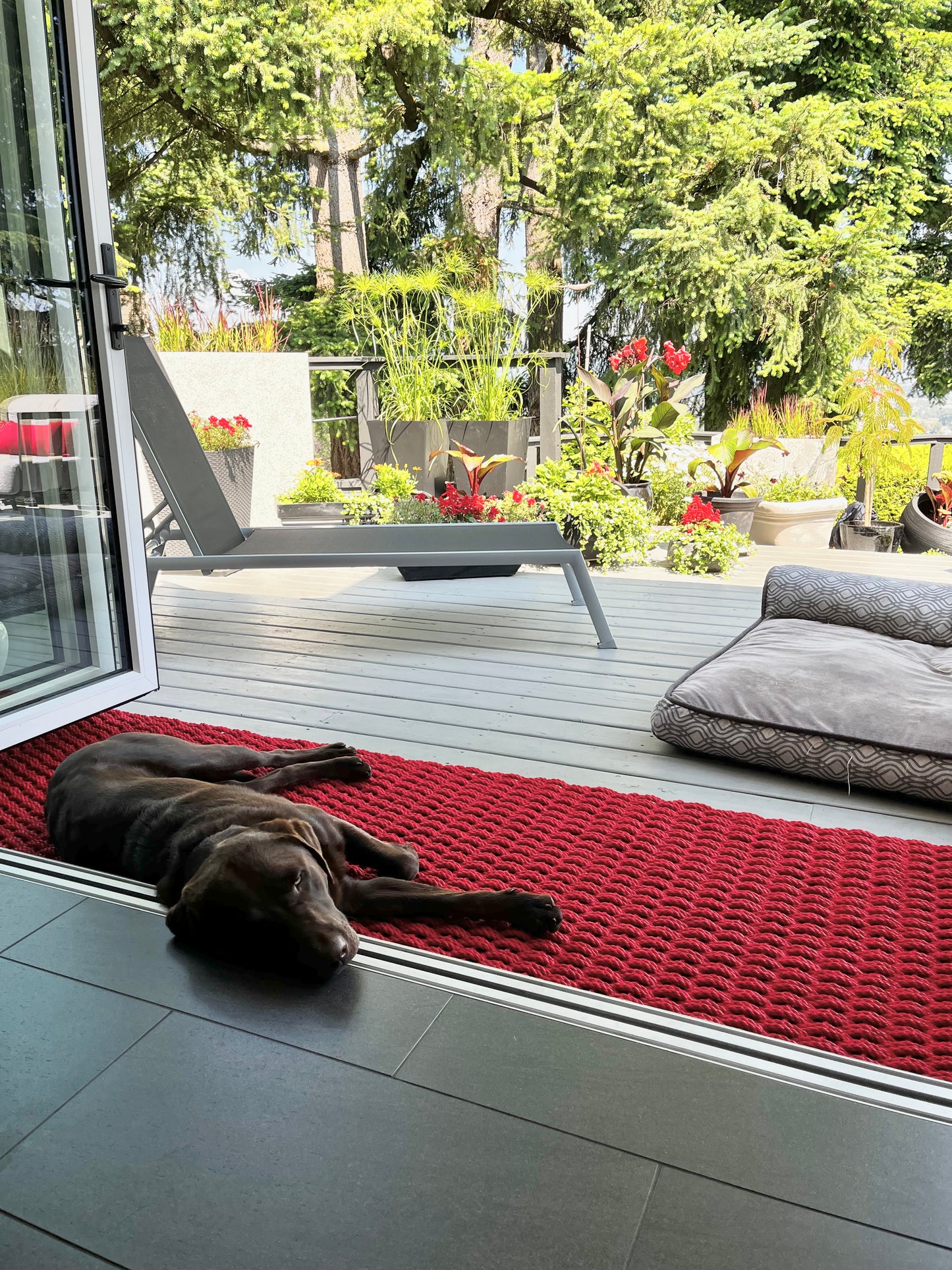 Cooling Mats for Dogs