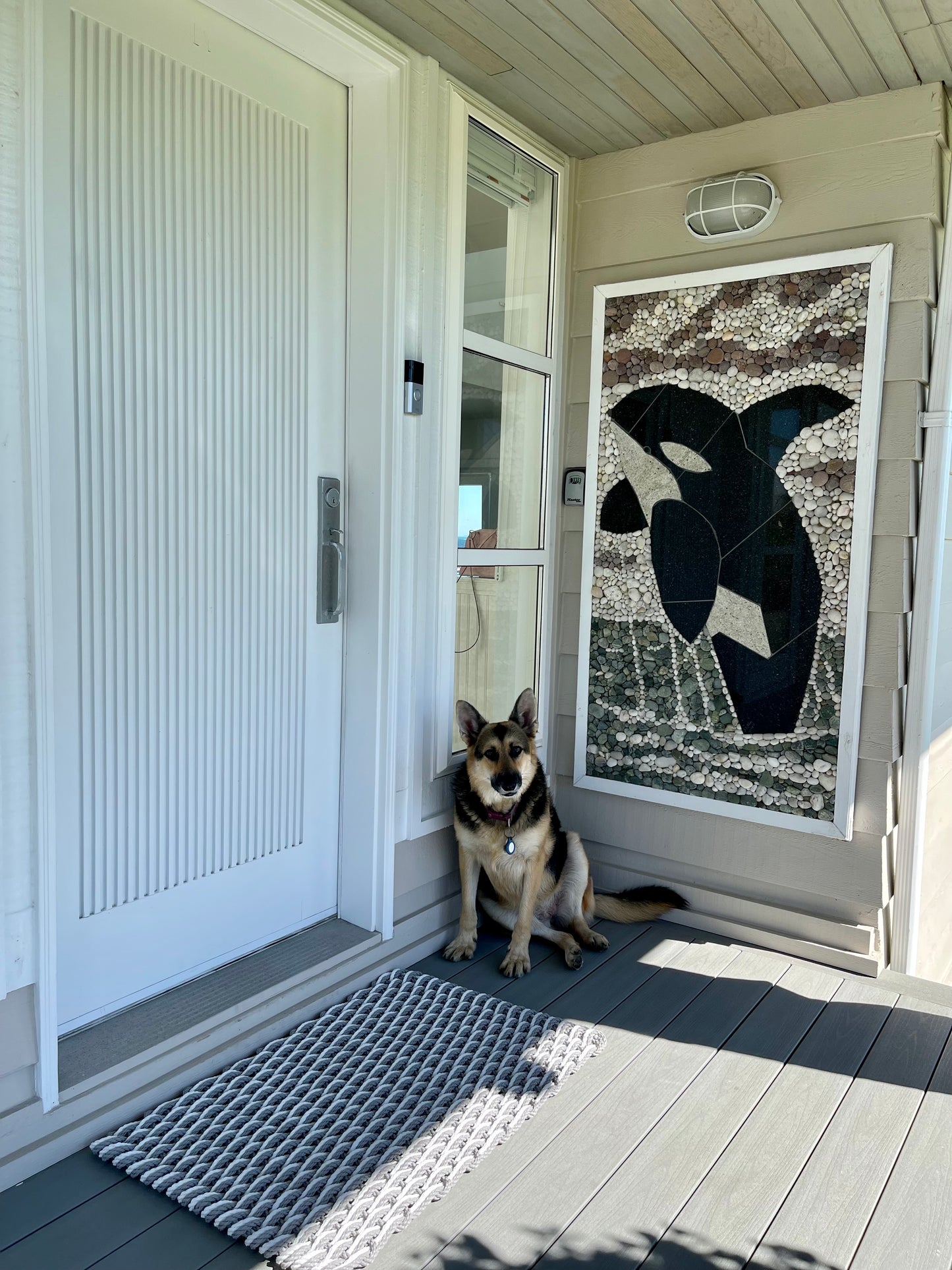 Cooling Mats for Dogs