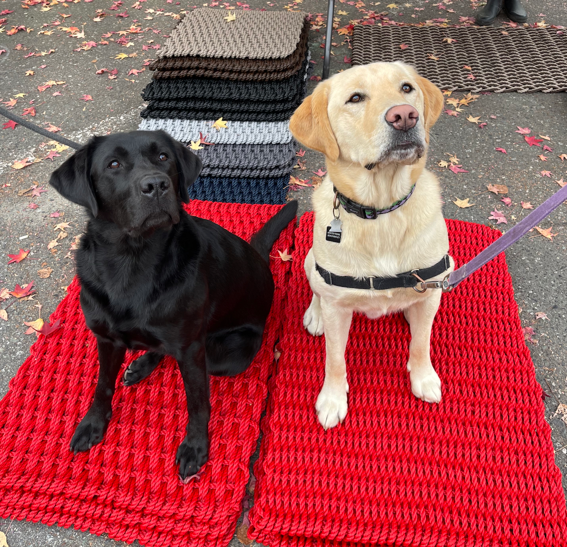 Cooling Mats for Dogs