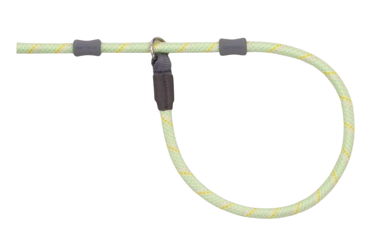 Slip Lead